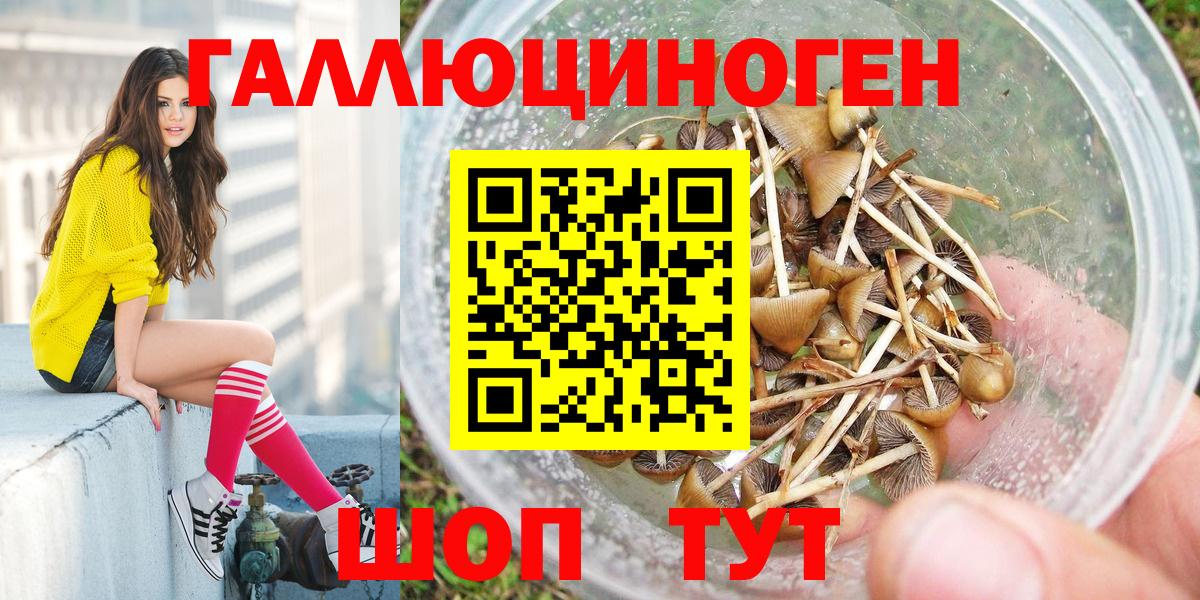 Псилоцибиновые грибы Psilocybe Нижнеудинск